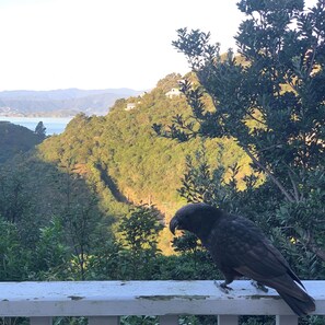 الإطلالة من المنشأة