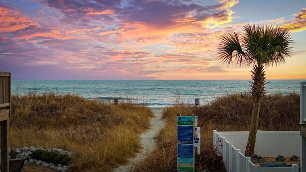A beach path leading to the ocean with a palm tree and a signboard. - Iconic 8BR w/ Rooftop Deck, Pool & Spa | Sleeps 24 (North Myrtle Beach)