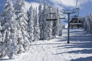 Unclassified image, 3 of 40, button