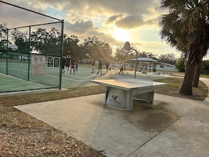 Una cancha de tenis con una mesa de ping pong al frente, rodeada por una cerca y palmeras.