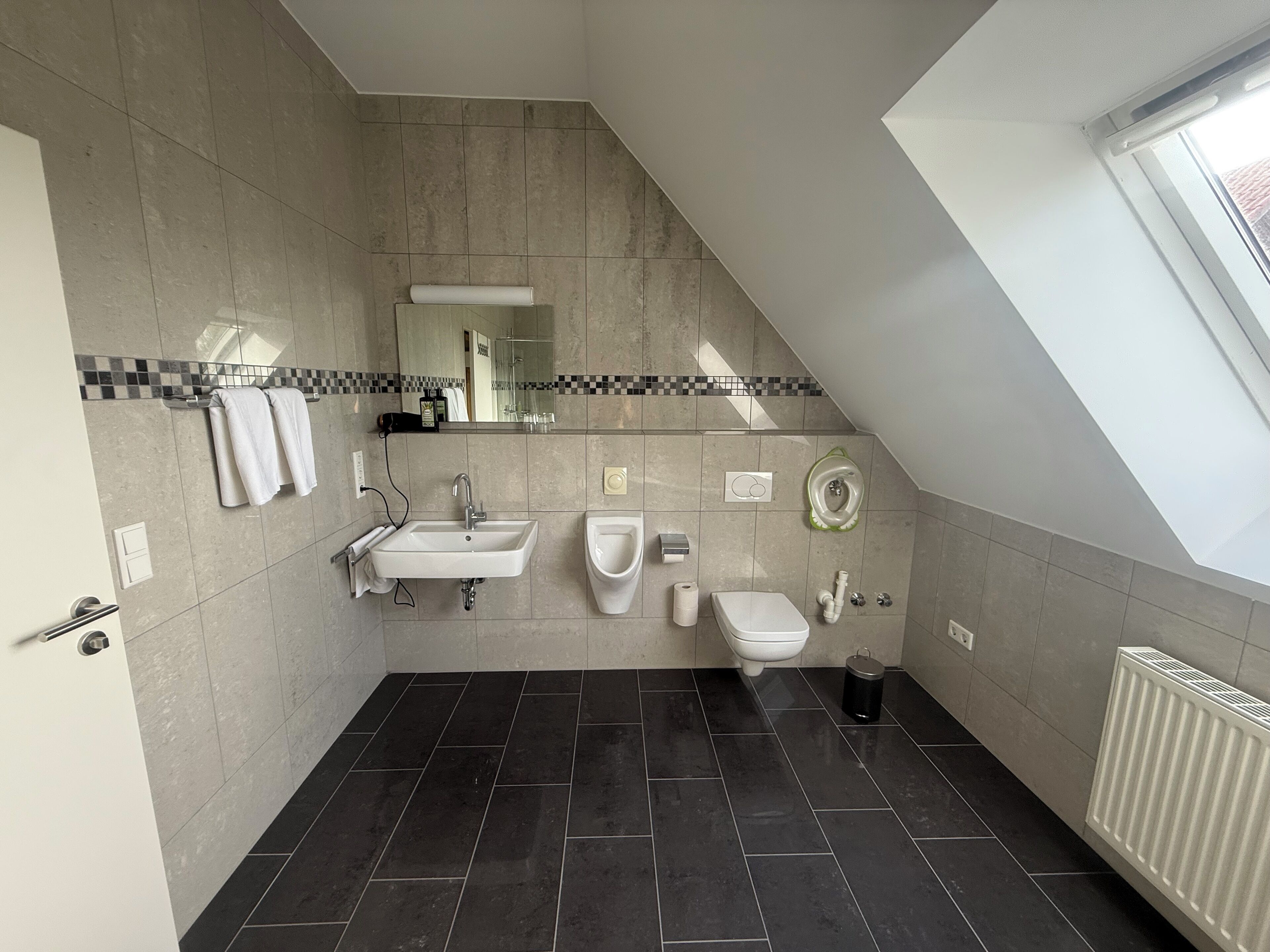 Dusche, Haartrockner, Handtücher