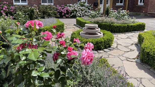 Un jardín con rosas, una fuente de piedra y un edificio de ladrillo con ventanas.
