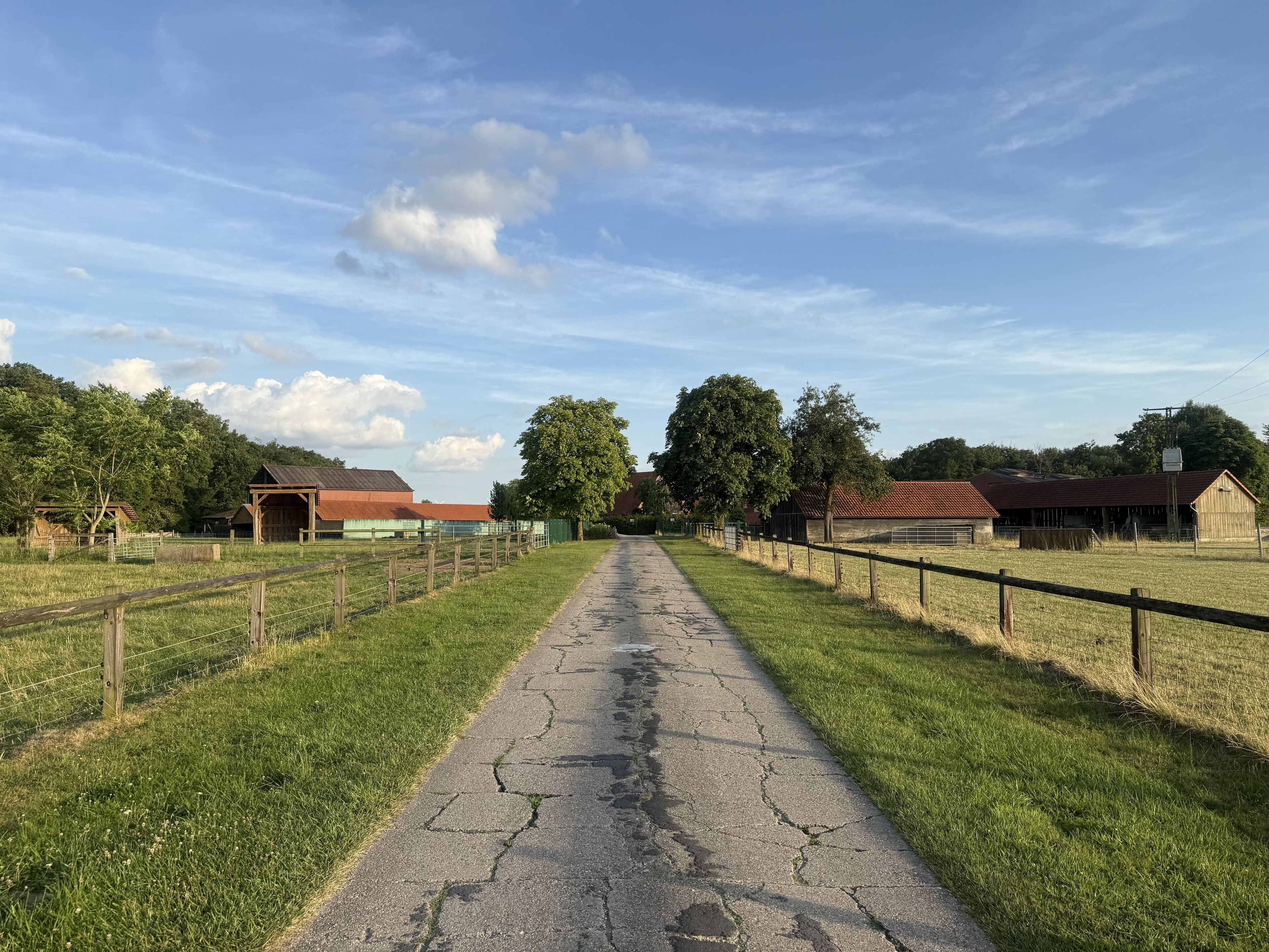 A rural pathway leading to farm buildings with a clear sky.