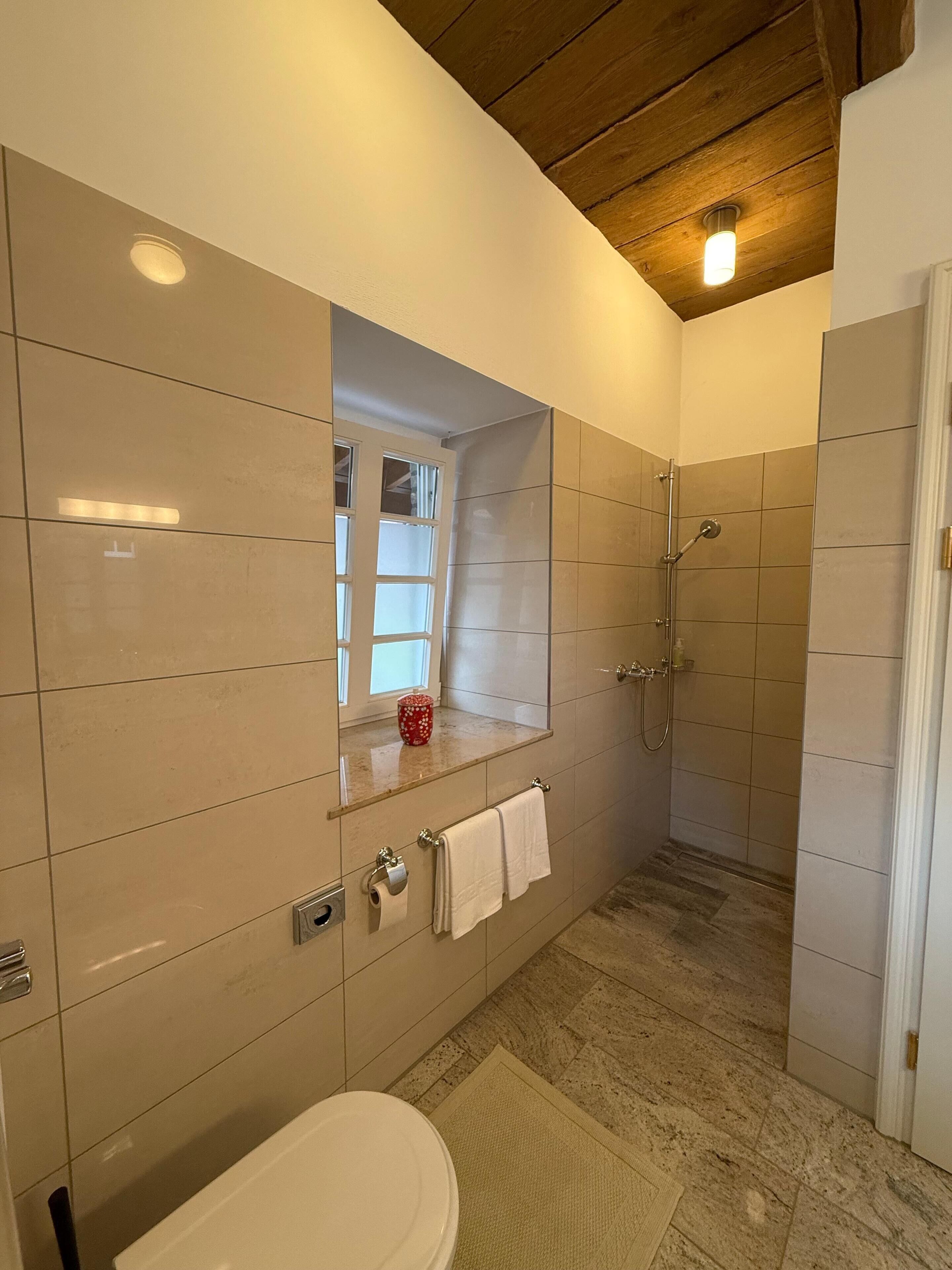 A bathroom with a toilet, a shower, and a mirror.