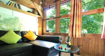 Beautiful villa for 6 people with private pool, WIFI, sauna and pets allowed