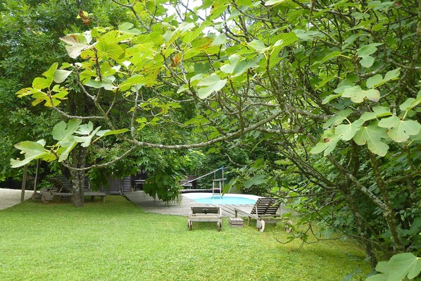 A backyard with a wooden deck, a small pool, and a tree providing shade.