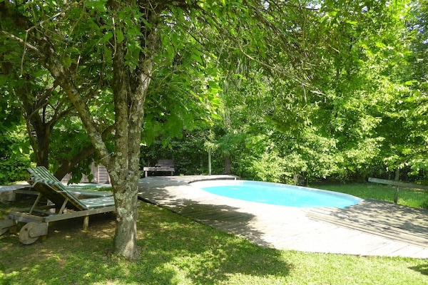 Autumn, Garden, Spring, Summer