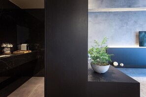 A modern kitchen with a dark countertop, a potted plant, and a blue accent wall.