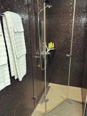Shower, hair dryer, soap, toilet paper - Beautiful 3-bedroom apartment in terrific Lucerne (Luzern)