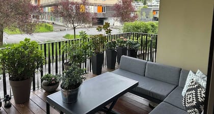 Beautiful 3-bedroom apartment in terrific Lucerne