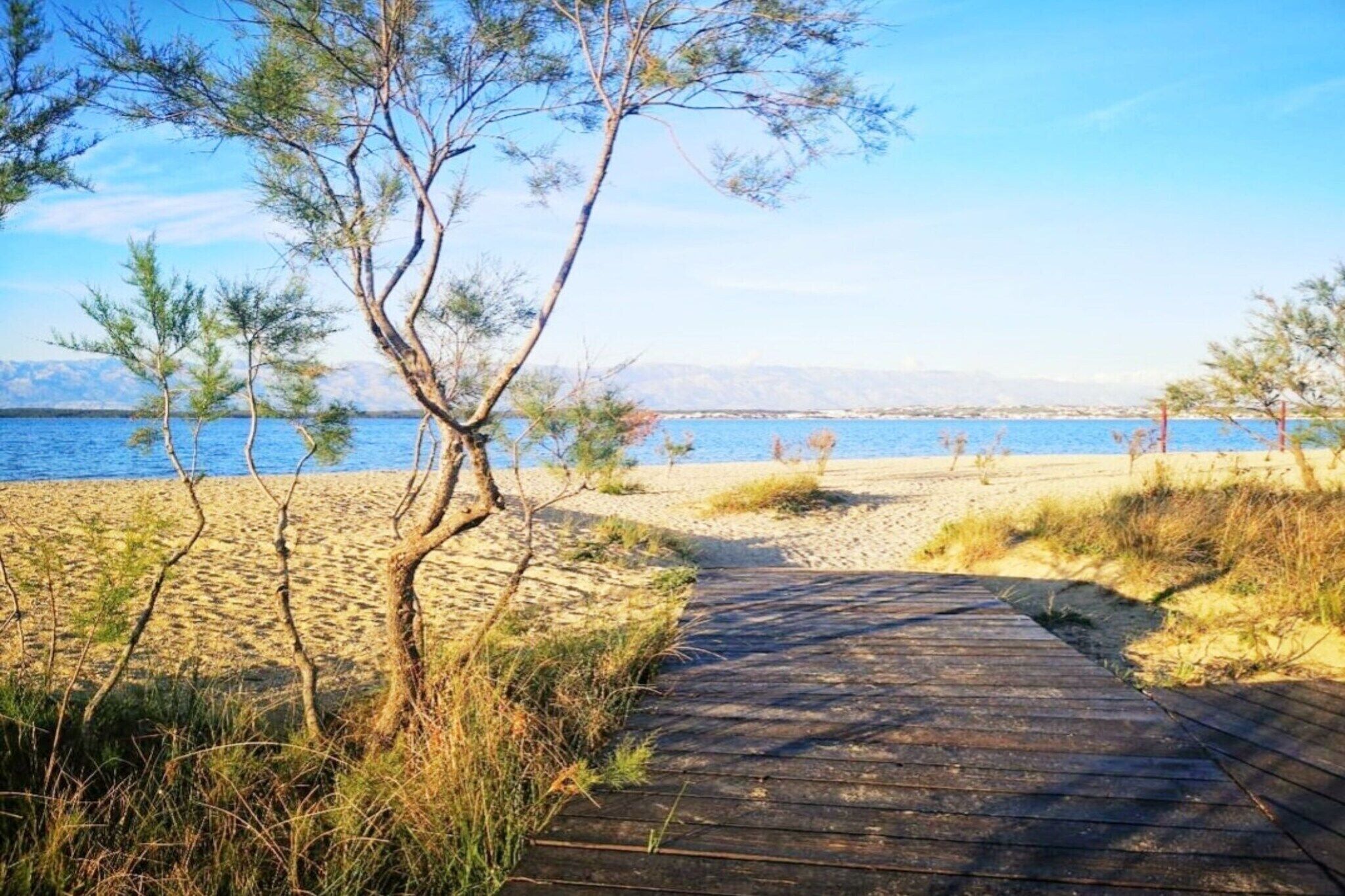 Playa en los alrededores 