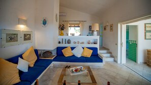 TV, fireplace, DVD player, books