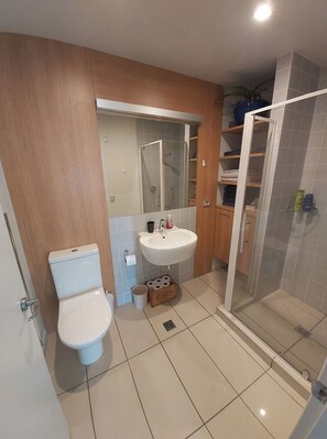 Hair dryer, towels, soap, toilet paper - Sunny modern penthouse apartment in the city center with parking space (Wellington)