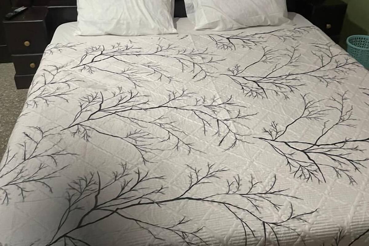 A bed with a white sheet and a tree branch pattern, a black headboard, and a nightstand with a lamp.
