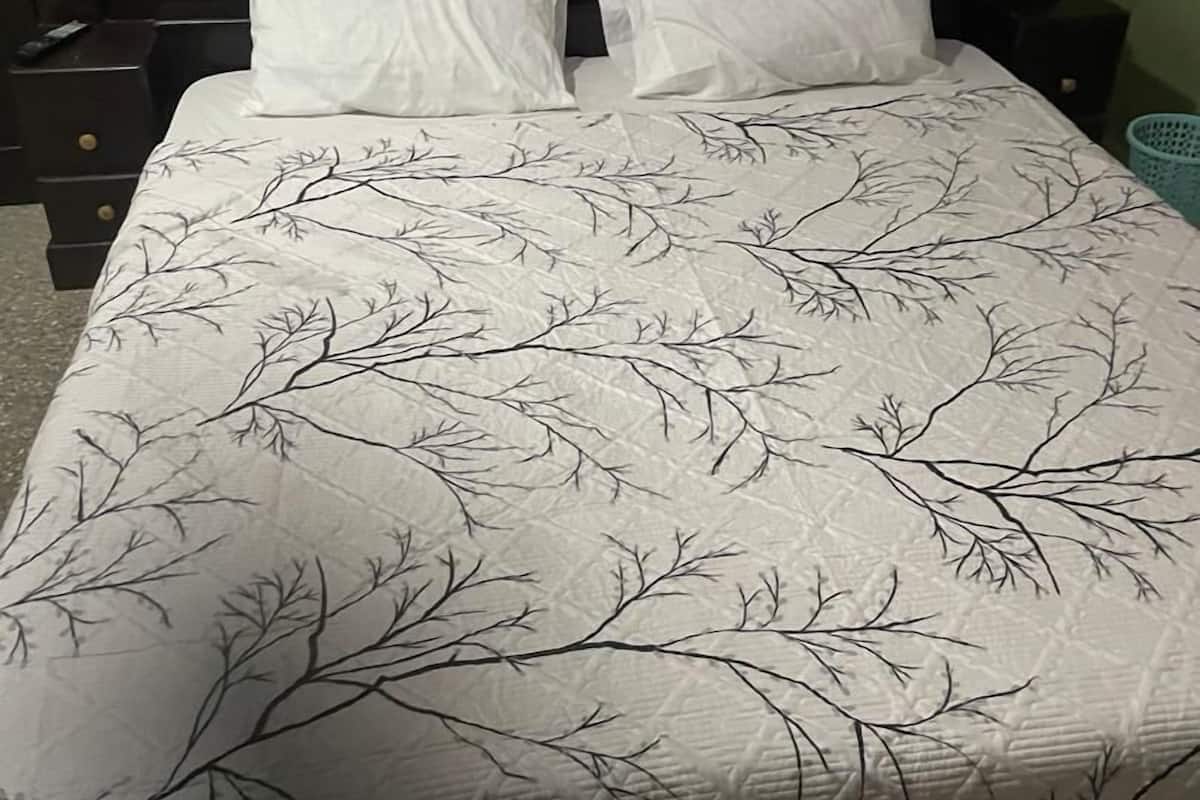 Double Room, 1 Queen Bed | Down comforters, free WiFi, bed sheets