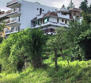 Front of property - evening/night - Nishtha Homestay (Lohaghat)