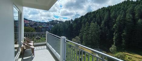 View from property