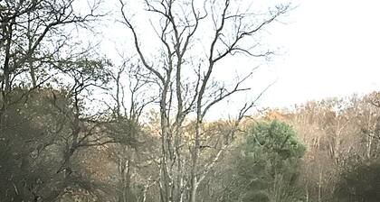 Hot Tub · Getaway Cabin · Cherry Spring Stargazing