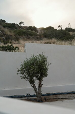 Villa, 3 Bedrooms, Private Pool | Pemandangan gunung