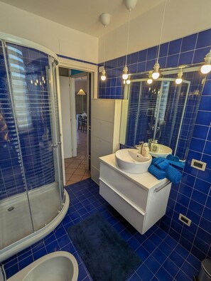 Shower, hair dryer, bidet, towels