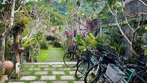 A garden pathway with bicycles parked on the side. - Baan Hinlad Home and Hostel (Koh Samui)