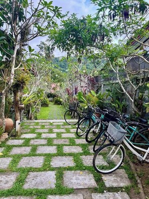 Bicycling - Baan Hinlad Home and Hostel (Koh Samui)