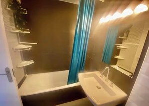 Shower, hair dryer, bidet, towels