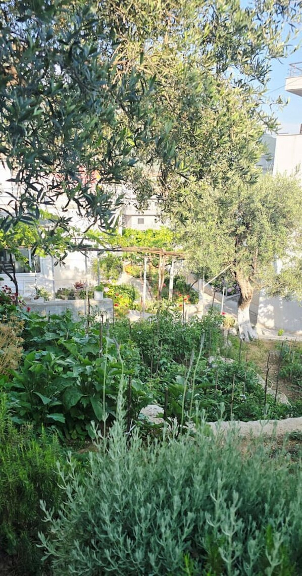 المنطقة المحيطة بالمنشأة