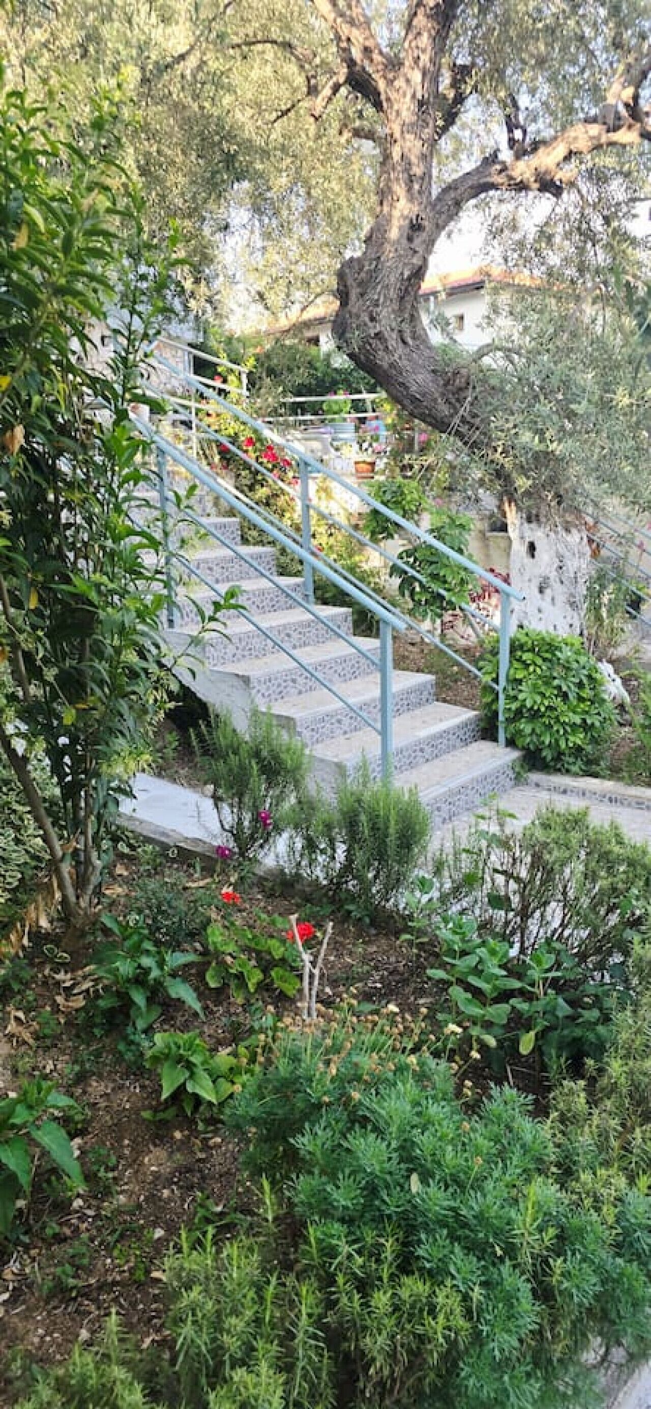 A stone staircase with metal railings leading up to a building.