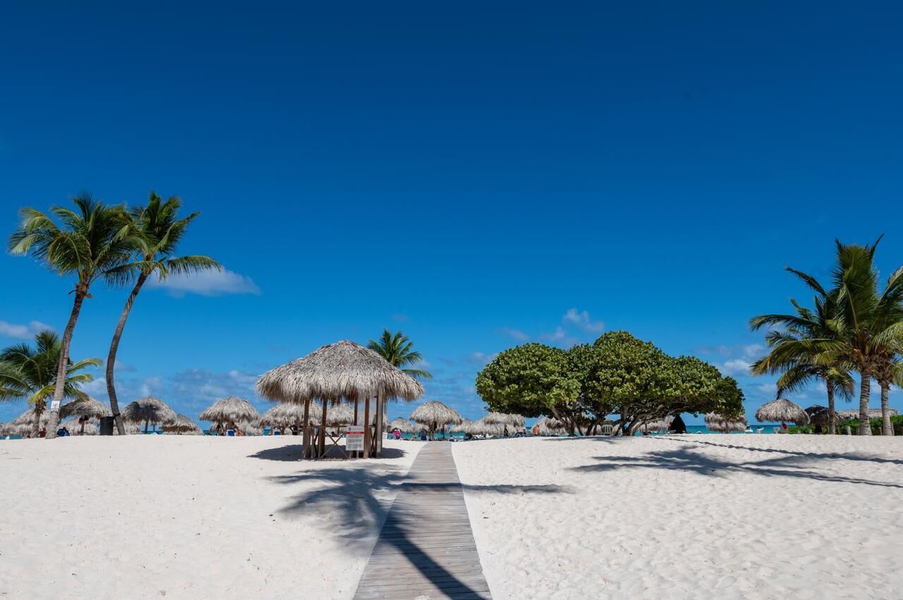 A beach with a wooden walkway, palm trees, and thatched-roof structures.