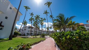 A pathway lined with palm trees leading to a building with a tiled roof.