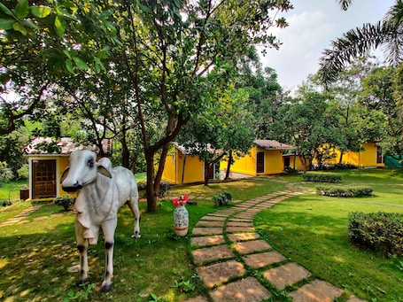 Área para eventos al aire libre