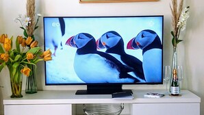 Immagine non classificata, 2 di 6, pulsante
