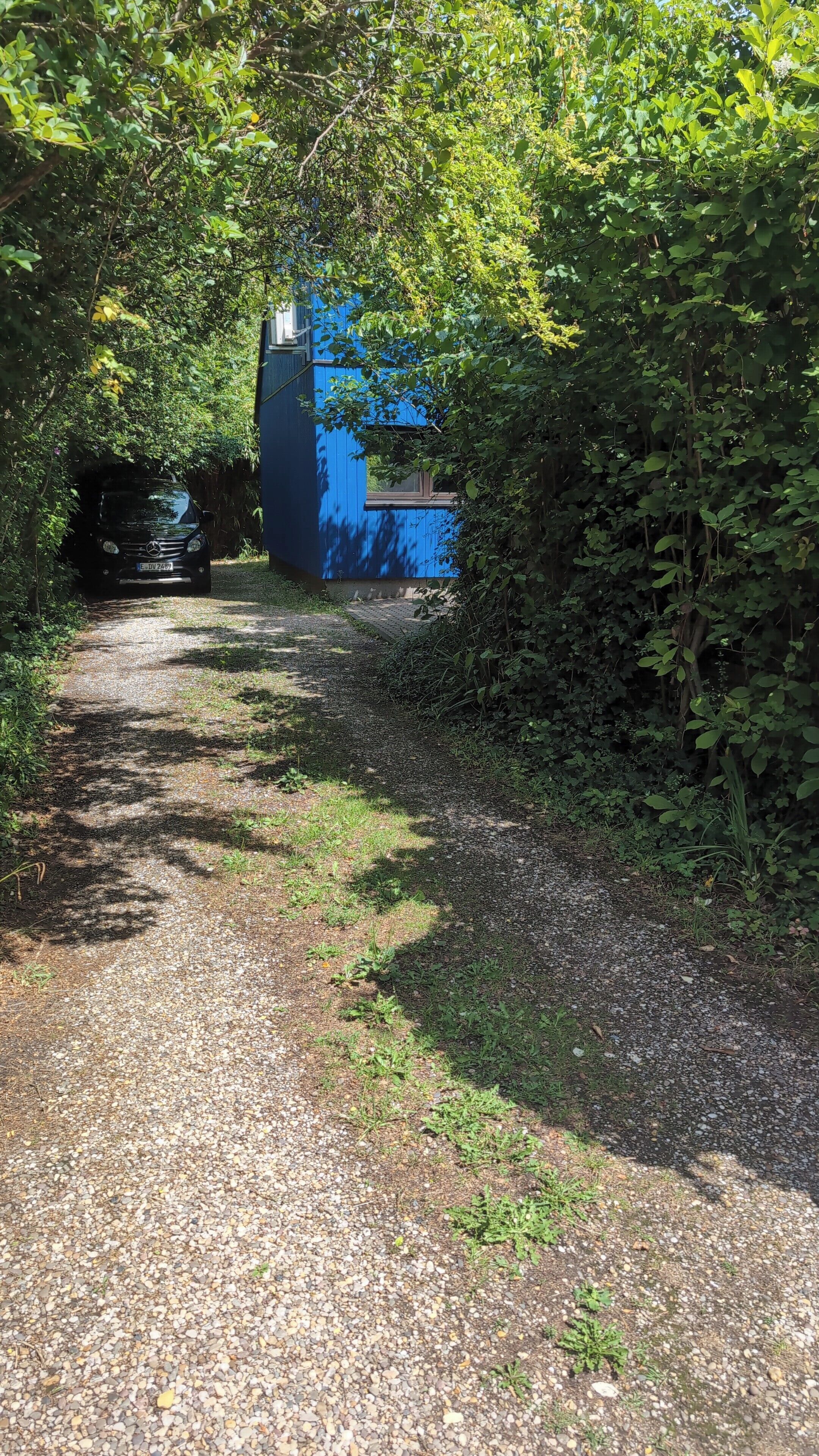 Een grindpad dat leidt naar een blauw gebouw, omgeven door weelderige begroeiing.