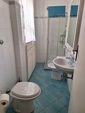 Ducha, secador de pelo, bidet, toallas