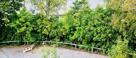 Overnatningsstedets område