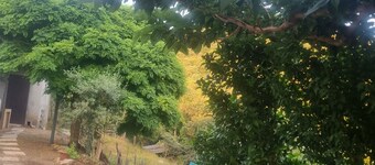 Maison de campagne proche Lion de Roccapina