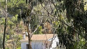 A white building with a tiled roof, surrounded by dense foliage.