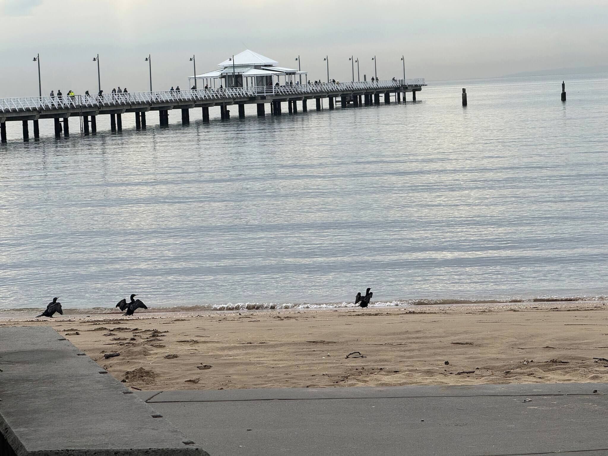 Asrama Umum, 1 kamar tidur | Pantai