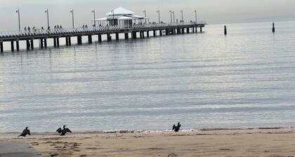 Room-room in a Beautiful Queenslander Ho