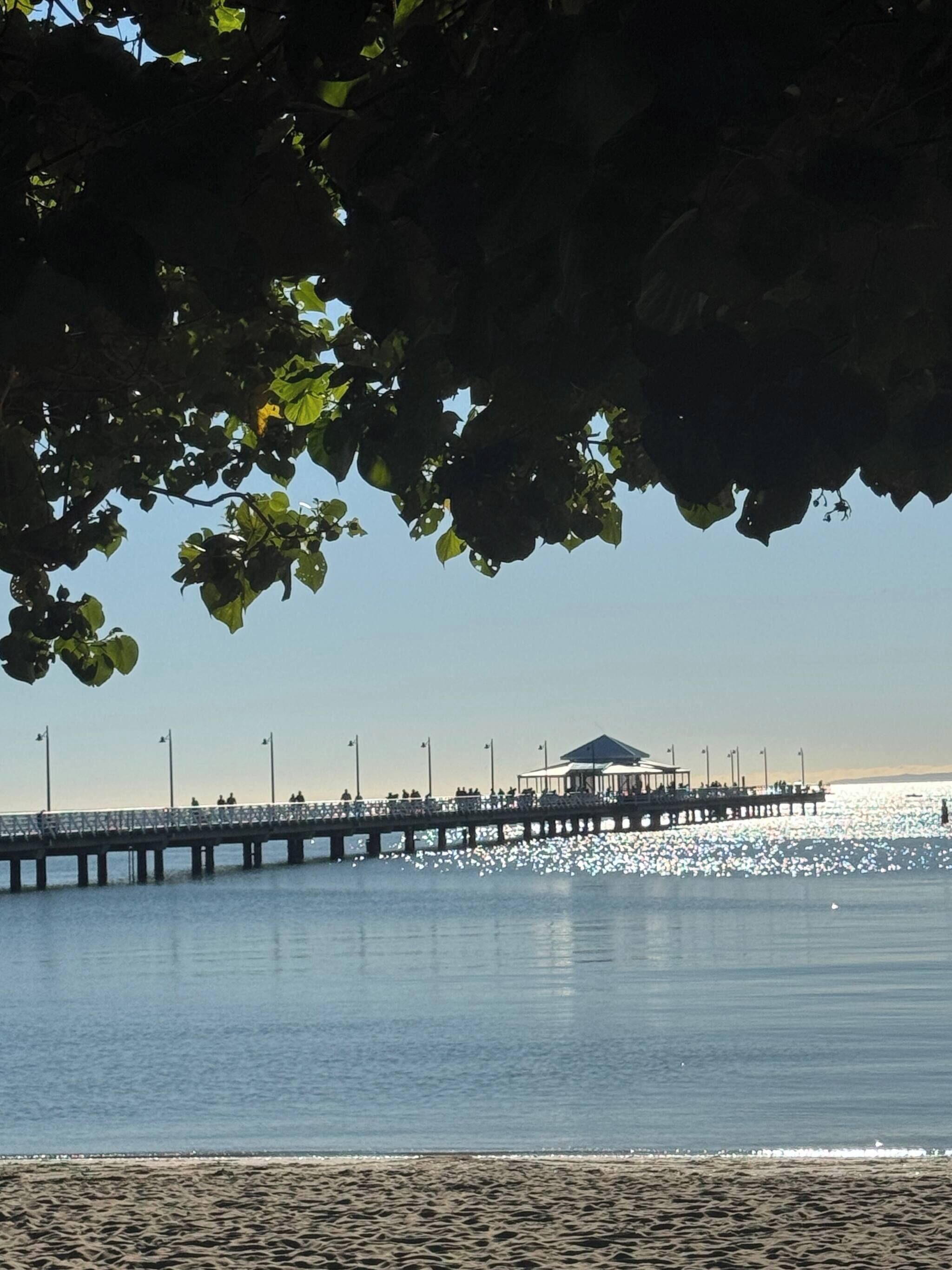 共同ドミトリー 1 ベッドルーム | 外観