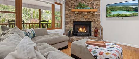 Smart TV, fireplace, books