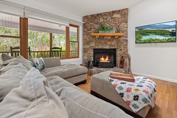 Smart TV, fireplace, books