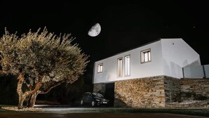 Et moderne hus med en stengrund og en bil på indkørslen.
