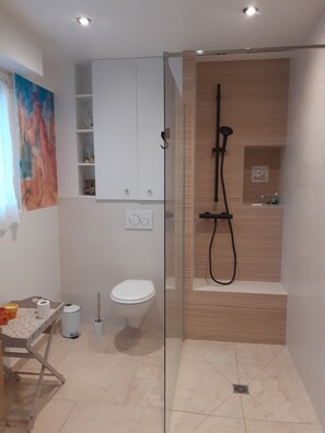 Shower, hair dryer, towels