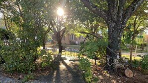 A paved pathway leading to a seating area with metal chairs and tables, surrounded by trees and a brick building in the background. - Wheelers Inn (Damascus)