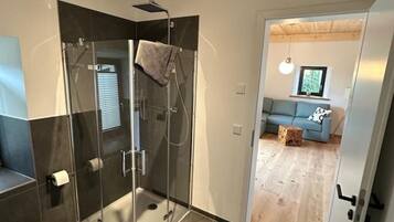 Shower, hair dryer, towels, toilet paper