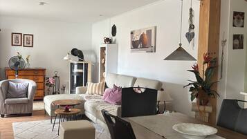 Una televisión, una chimenea