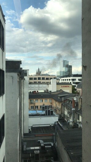 Vista desde la propiedad