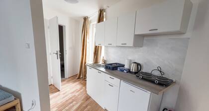 Family Apartment N5 in Abertamy - near Plesivec Ski Slopes, bike/ski storage